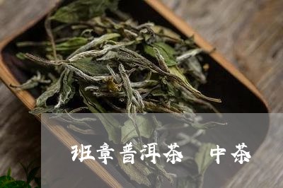 班章普洱茶 中茶/2023041182614